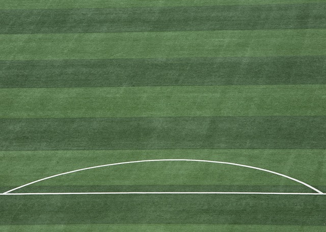 不少欧洲顶 不少欧洲顶