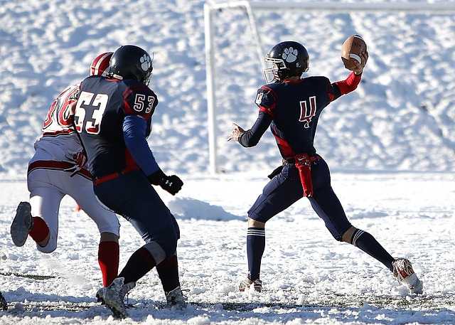 的拼搏精神 的拼搏精神