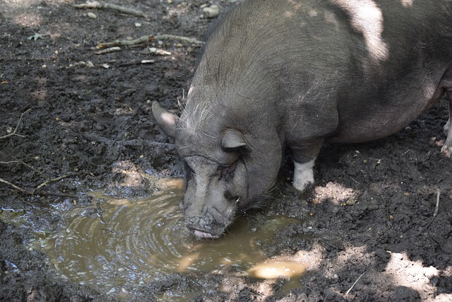 将镜头放回 将镜头放回