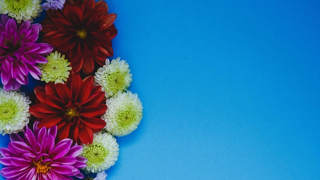 上脱颖而出 上脱颖而出