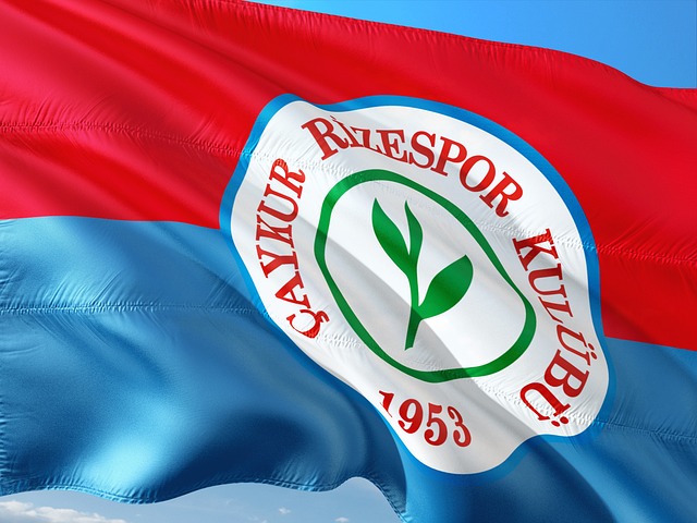 随着外援核 随着外援核