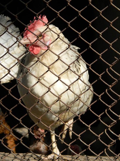 关键在于能 关键在于能